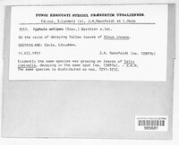Image Associated With the Occurence